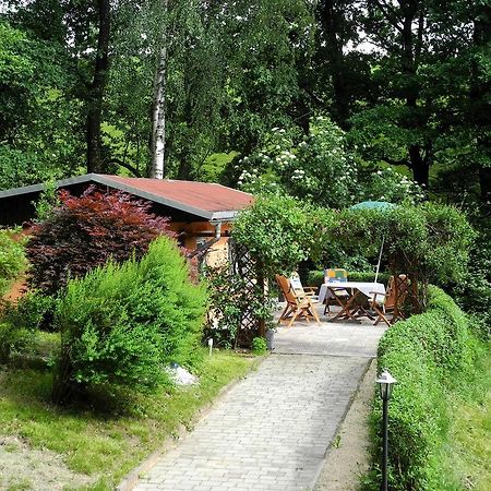 Ferienhaus Am Urzeitpark Sebnitz Hertigswalde エクステリア 写真