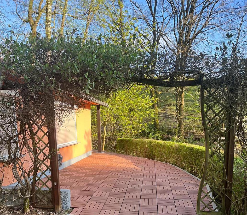 Ferienhaus Am Urzeitpark Sebnitz Hertigswalde エクステリア 写真