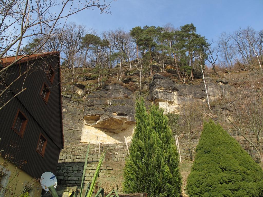 Ferienhaus Am Urzeitpark Sebnitz Hertigswalde エクステリア 写真
