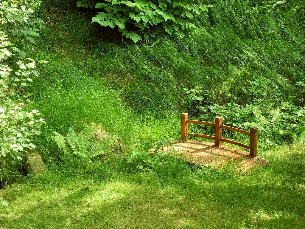 Ferienhaus Am Urzeitpark Sebnitz Hertigswalde エクステリア 写真