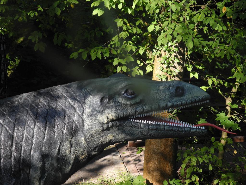 Ferienhaus Am Urzeitpark Sebnitz Hertigswalde エクステリア 写真